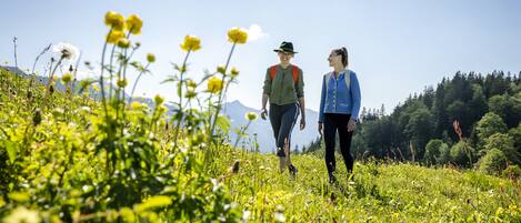 Two people walking on a grassy hill with mountains in the background.