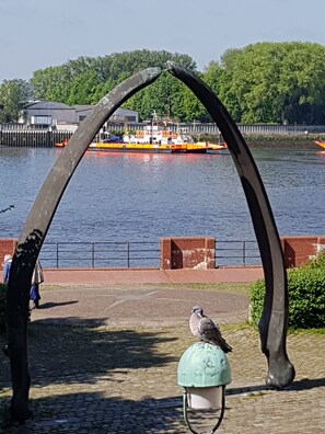 Vue depuis l’hébergement