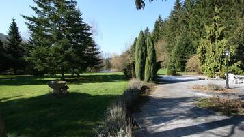 Ein Weg, der durch einen Park führt, mit einem Steingefäß, hohen Nadelbäumen und blauem Himmel.