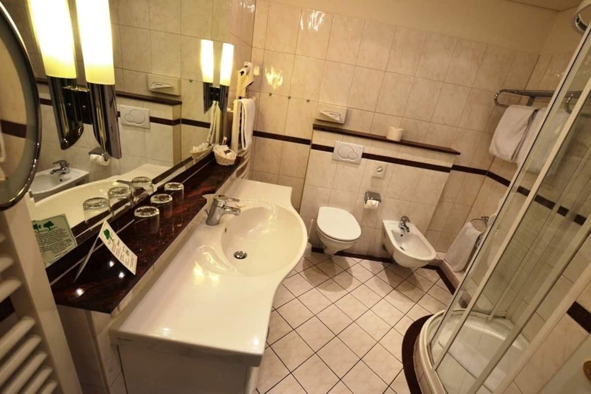 suite | bathroom amenities | shower, hair dryer, bathrobes, slippers
