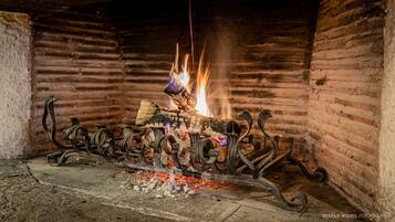 A fireplace with burning logs and a metal grate.