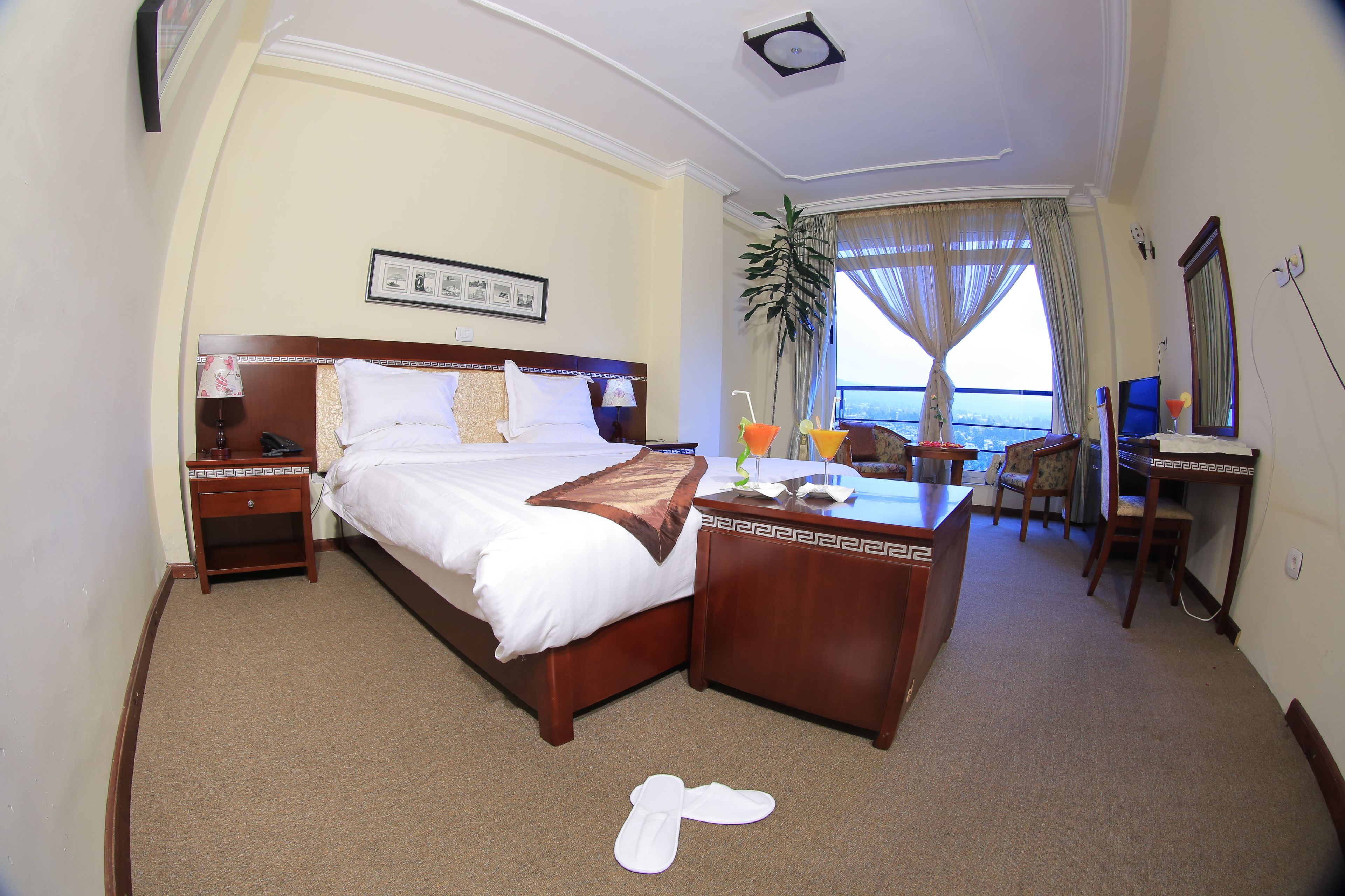 Habitación individual | Vistas desde la habitación