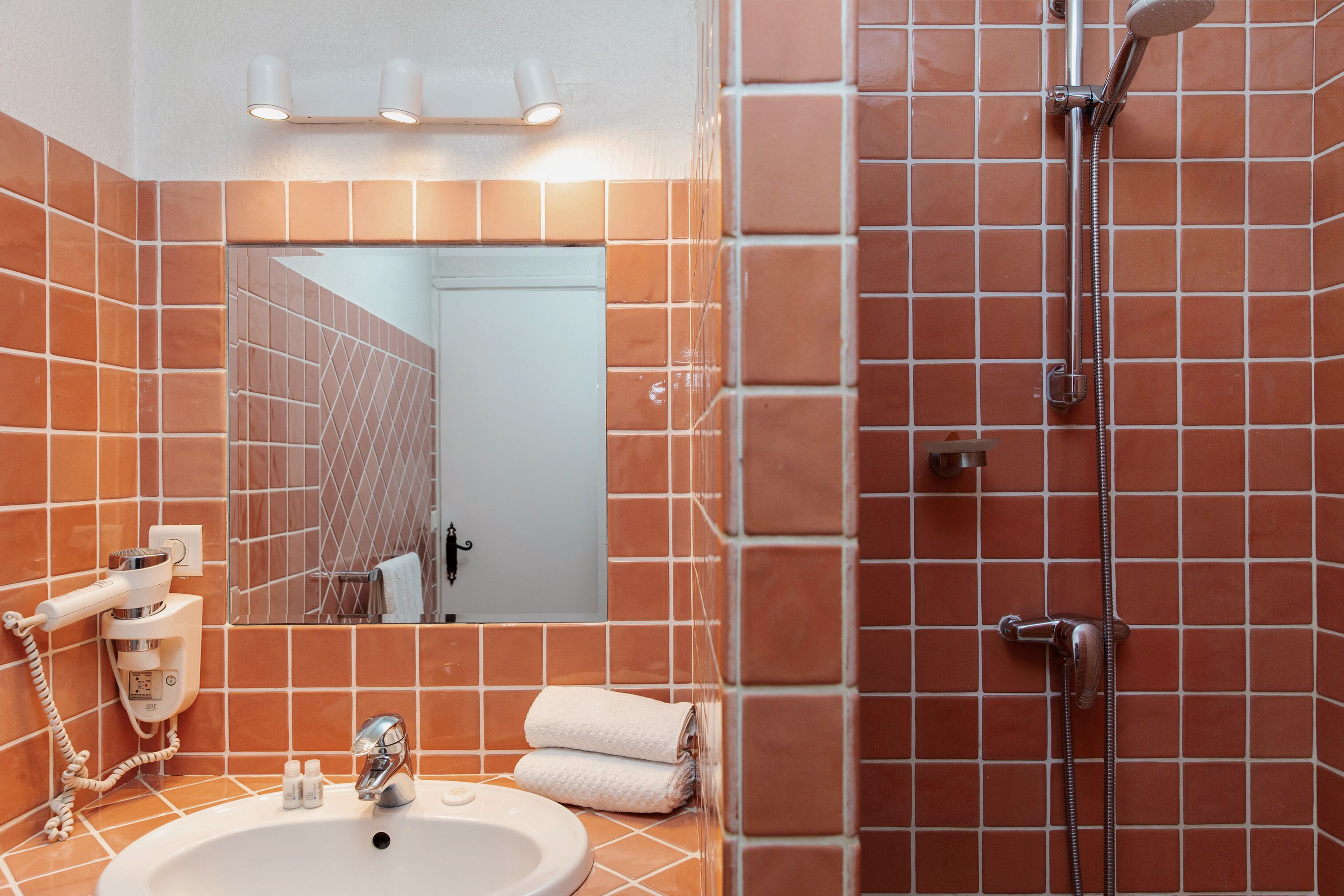 Une salle de bain avec un lavabo, un miroir et une douche.