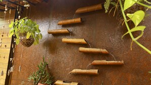A wooden deck with terracotta pots and hanging plants. - Beco Pousada Boutique Noronha (Fernando de Noronha)