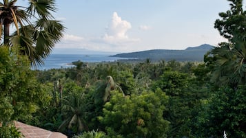 Suite Deluks, 2 kamar tidur, pemandangan laut | Pemandangan dari kamar