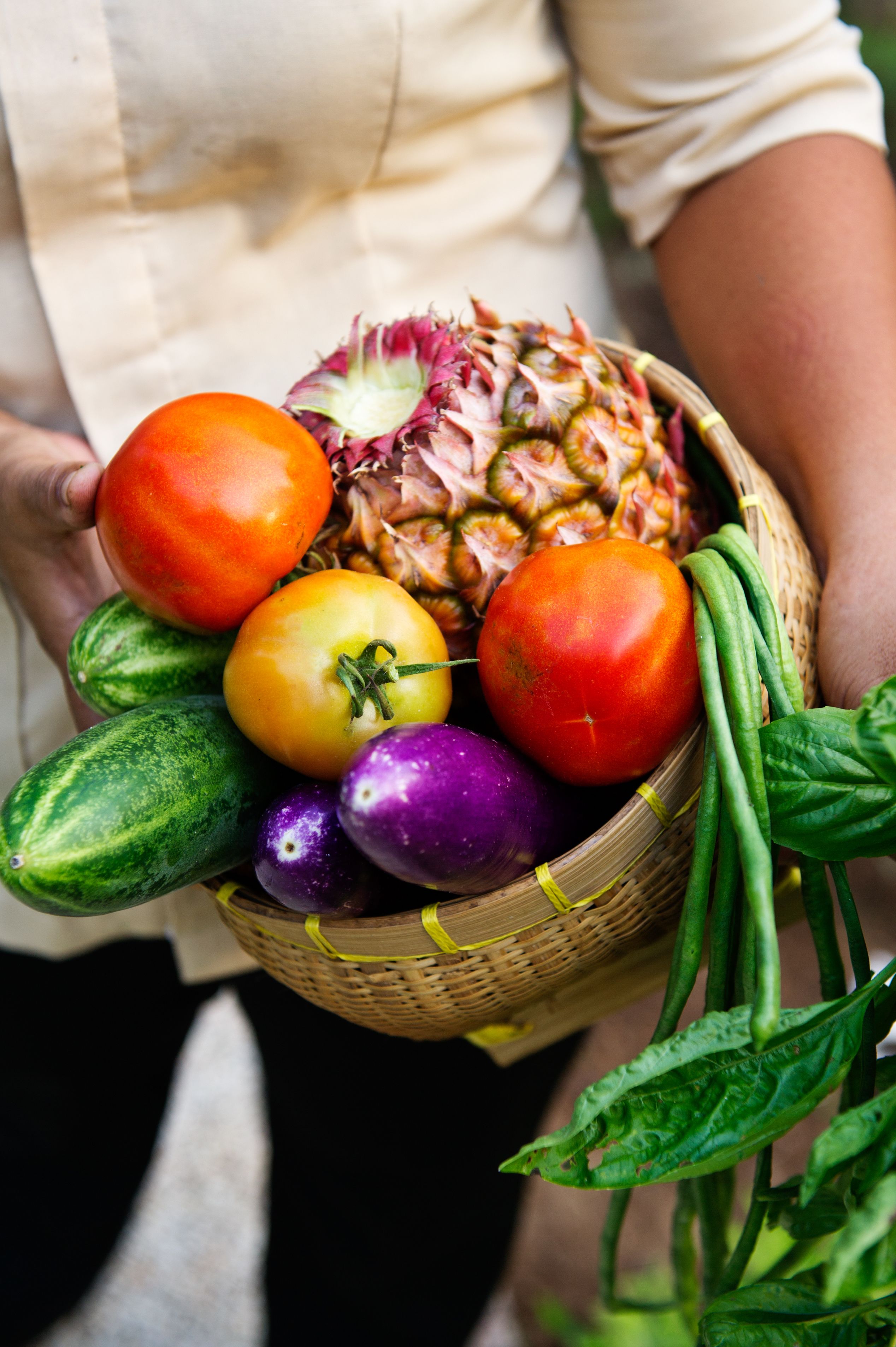 lunch and dinner served, al fresco dining