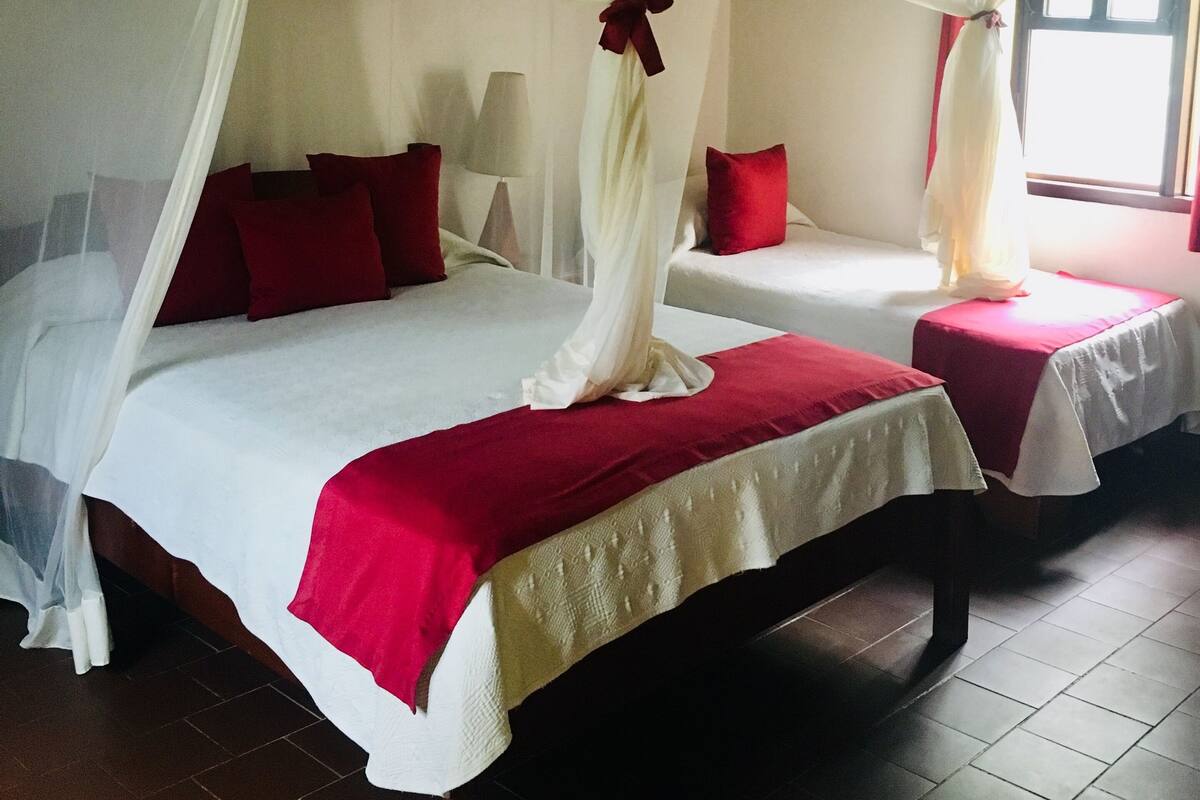 A room with two beds, each with a canopy bedspread and pillows.