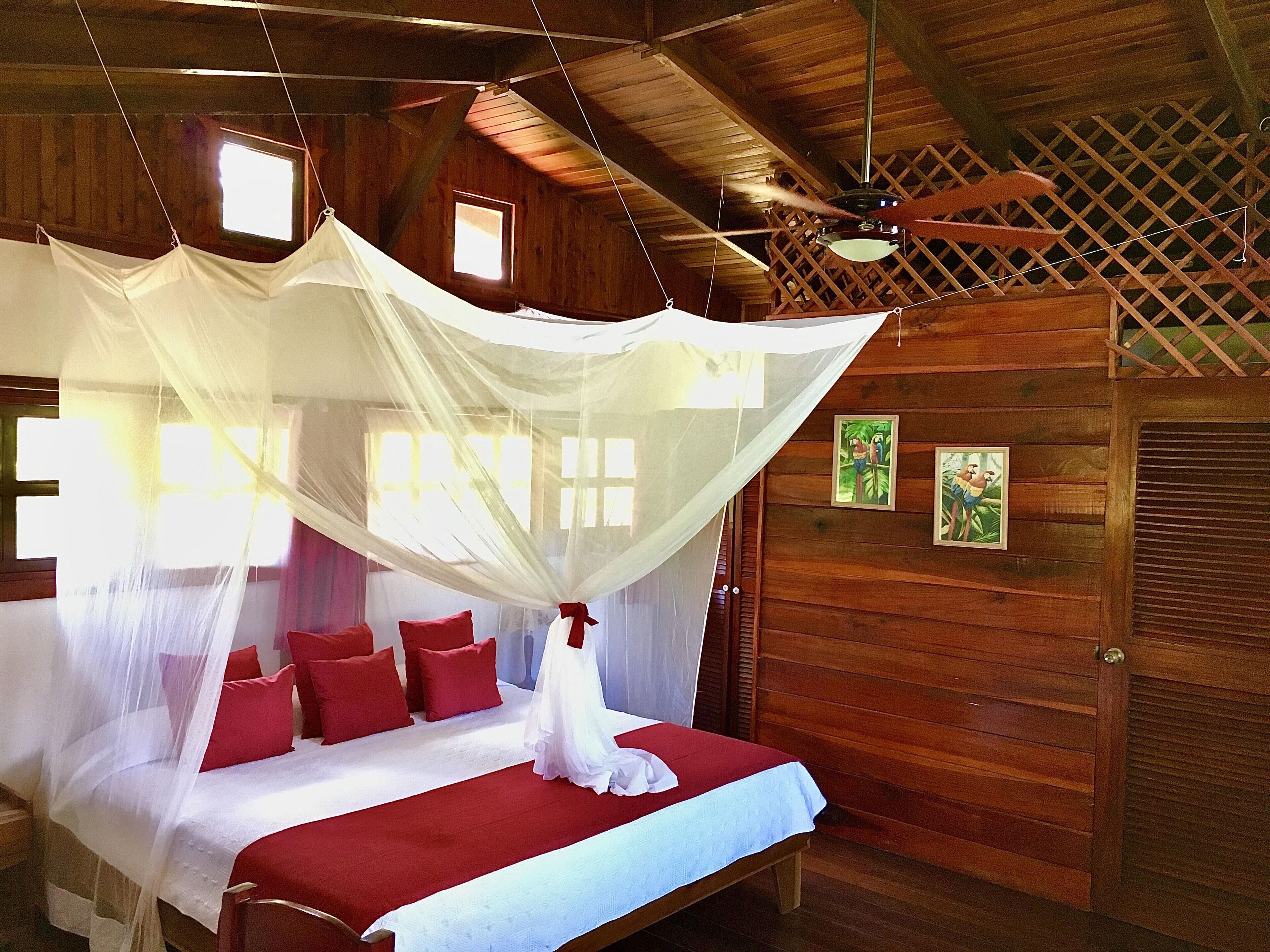 A wooden cabin bedroom with a bed under a mosquito net, red pillows, and two small windows.