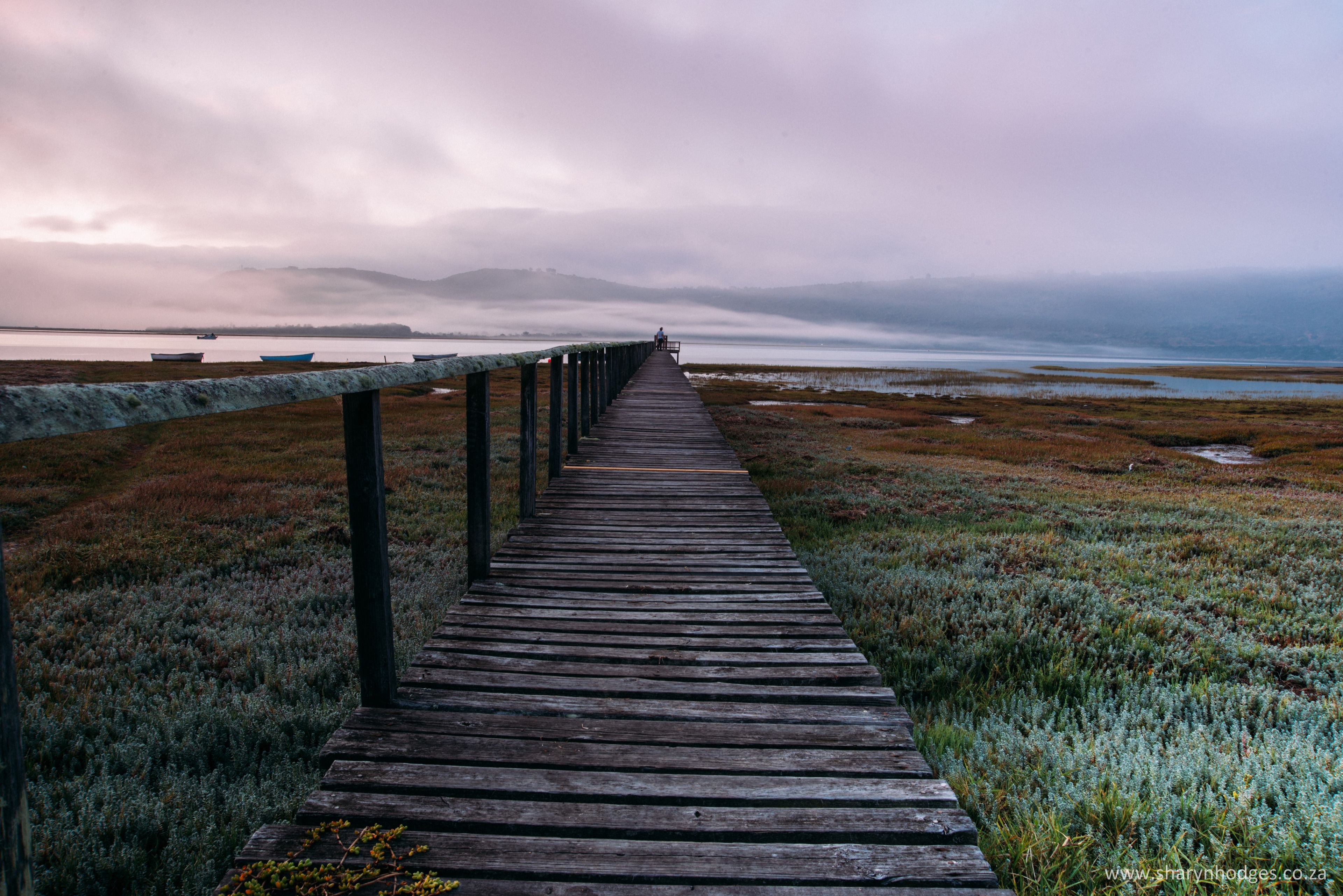 A wooden boardwalk leading to a bench overlooking a coastal landscape with a foggy horizon.