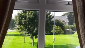 Une fenêtre donnant sur une pelouse verdoyante et des arbres.