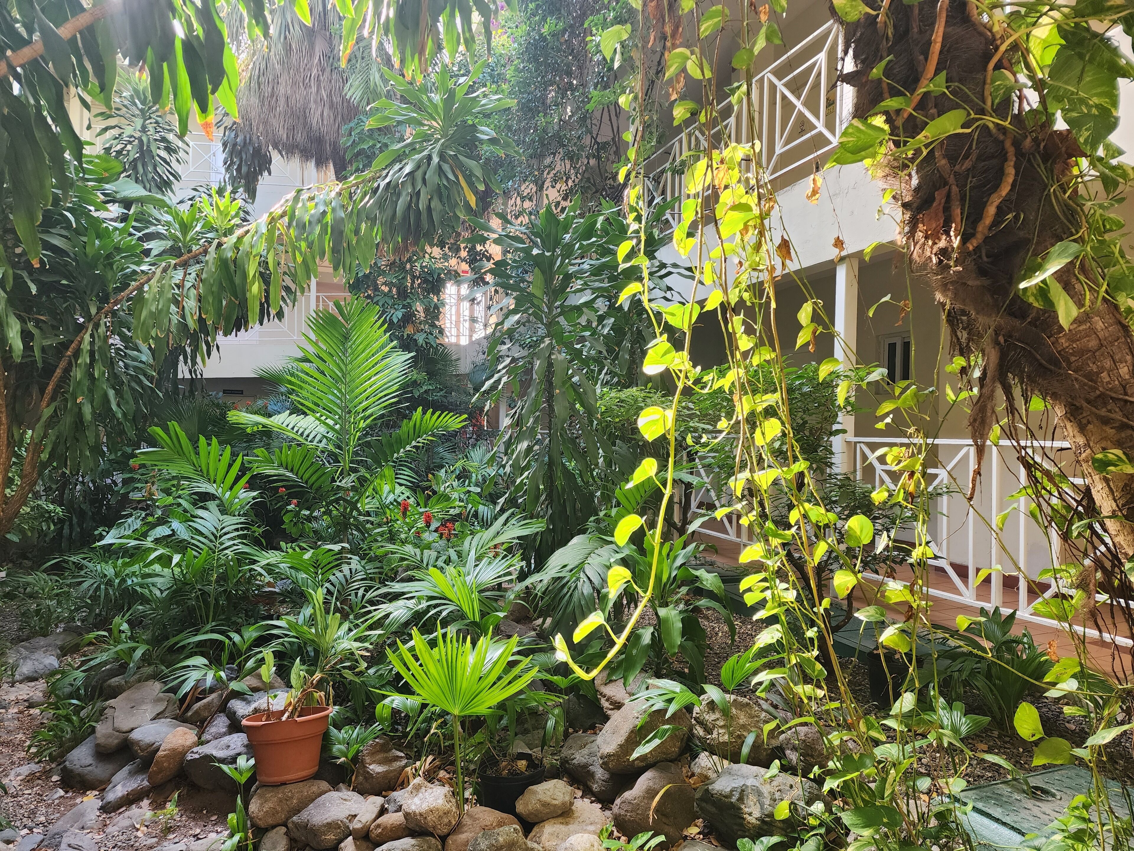 Photo - Altamont Court Hotel