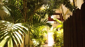 Un étroit sentier bordé d’une végétation tropicale luxuriante mène à un bâtiment doté d’un balcon.
