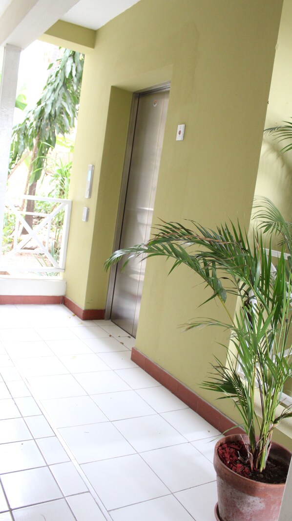 A corridor with a tiled floor, a potted plant, and a door with a metallic handle.