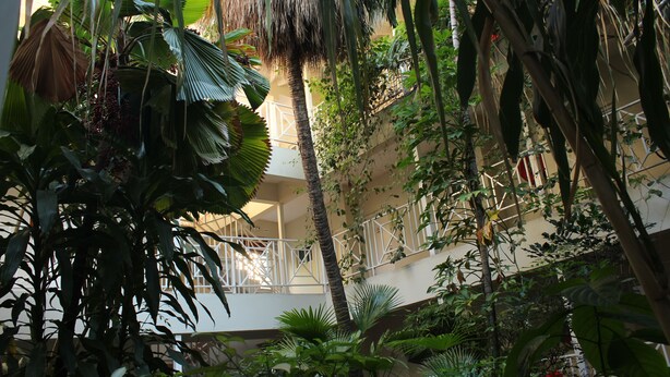 Un atrium à plusieurs niveaux, agrémenté d’une végétation luxuriante, comprenant diverses plantes tropicales et un palmier.