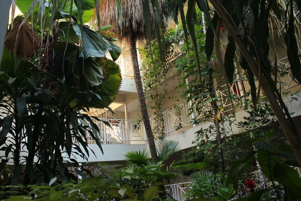 Property grounds - Altamont Court Hotel (Kingston)