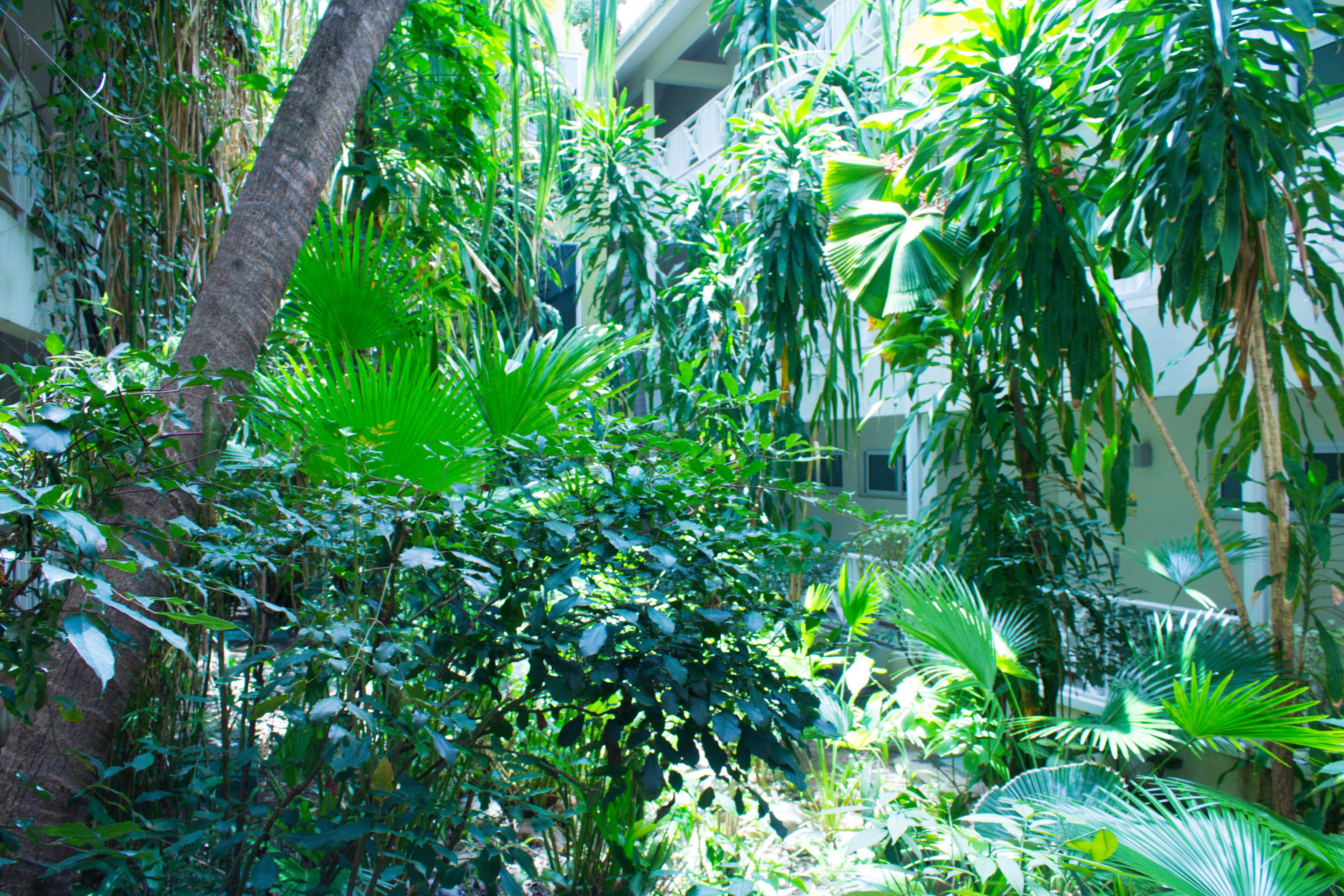 Foto - Altamont Court Hotel