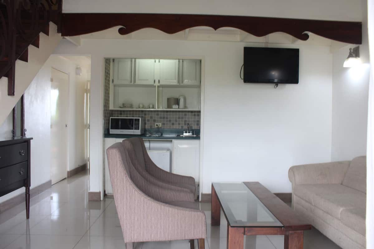 superior suite, non smoking | living area | flat-screen tv