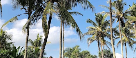Traditional Villa, 2 Bedrooms, Private Pool, Sea View | Kolam renang persendirian