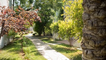 Taman
