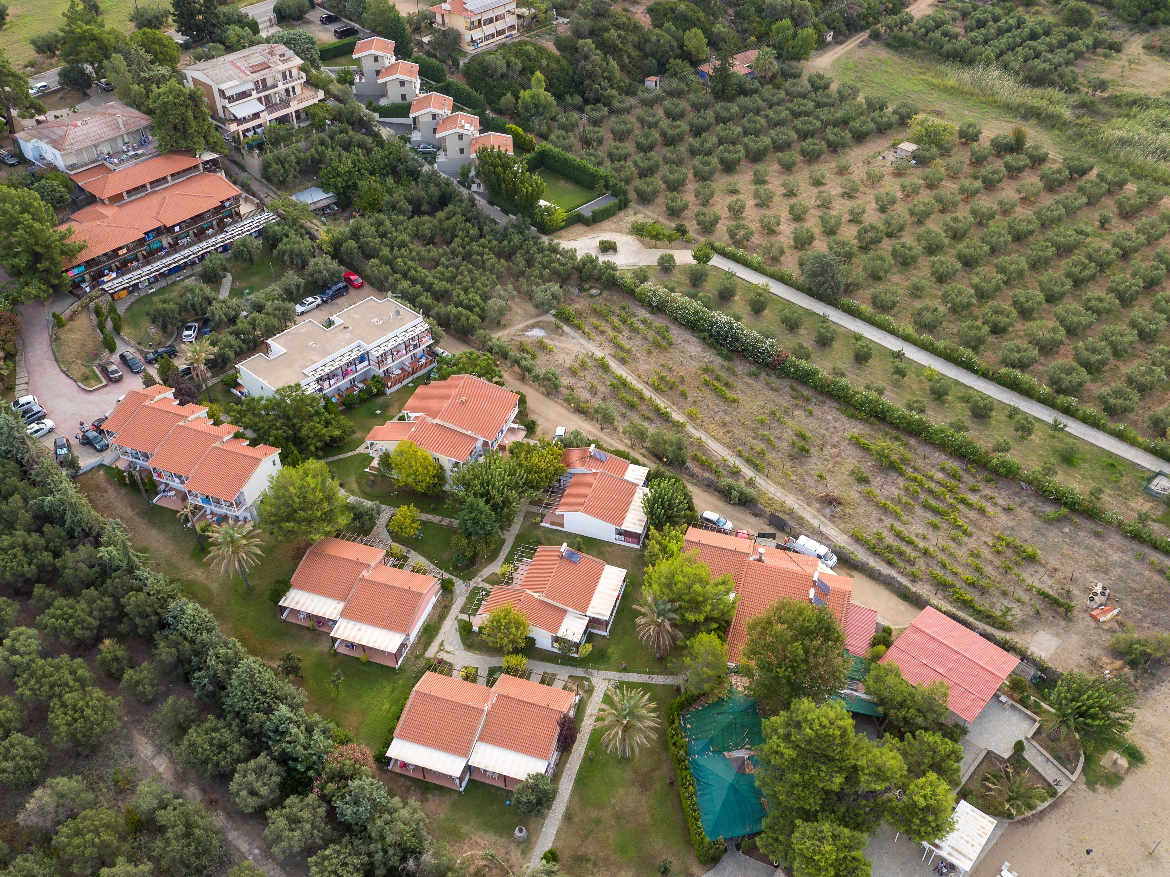 Vista aerea di una zona residenziale con diverse case, una strada centrale e un vigneto.
