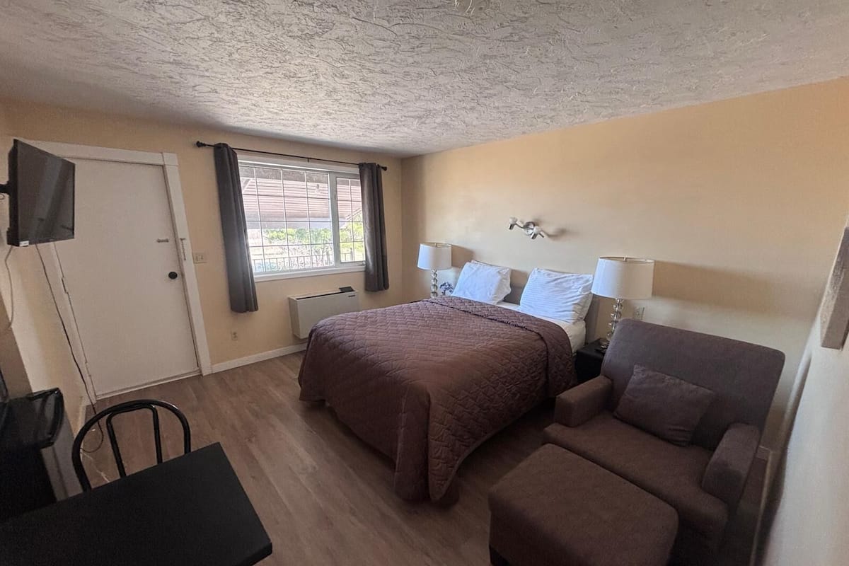 A hotel room with a bed, a desk, a chair, a sofa, a TV, and a window with curtains.