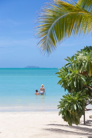 On the beach, white sand, sun loungers, beach umbrellas