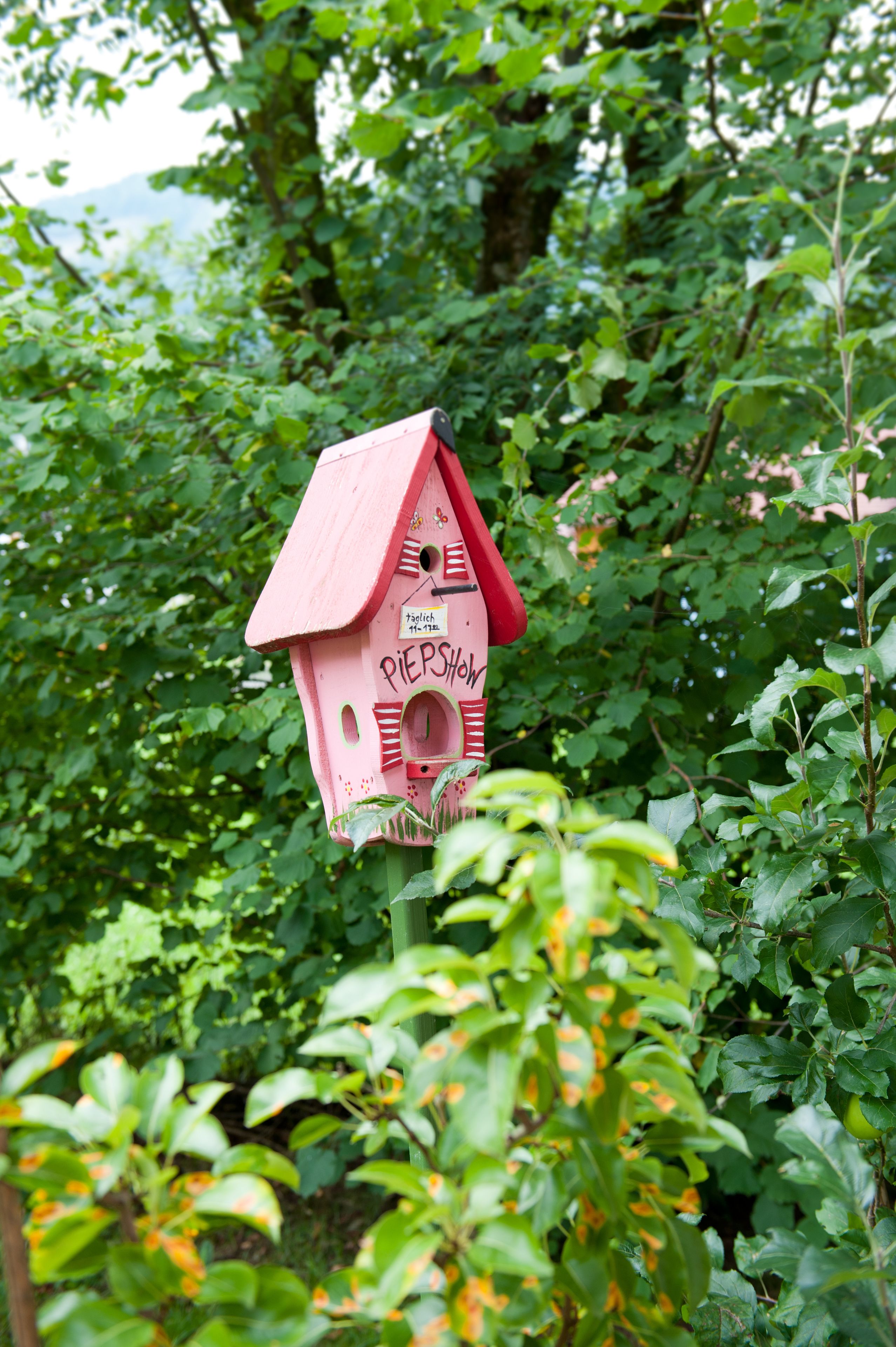 Ein pinkfarbenes Vogelhaus mit der Aufschrift "Piepshow" in einem üppigen, grünen Garten.
