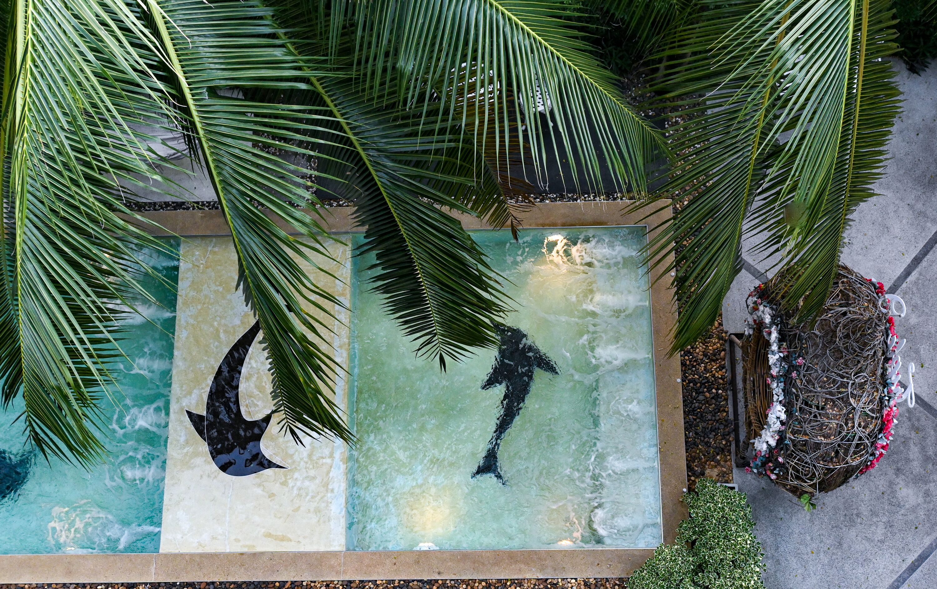 Outdoor pool, pool loungers