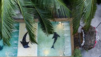 Piscine extérieure, chaises longues