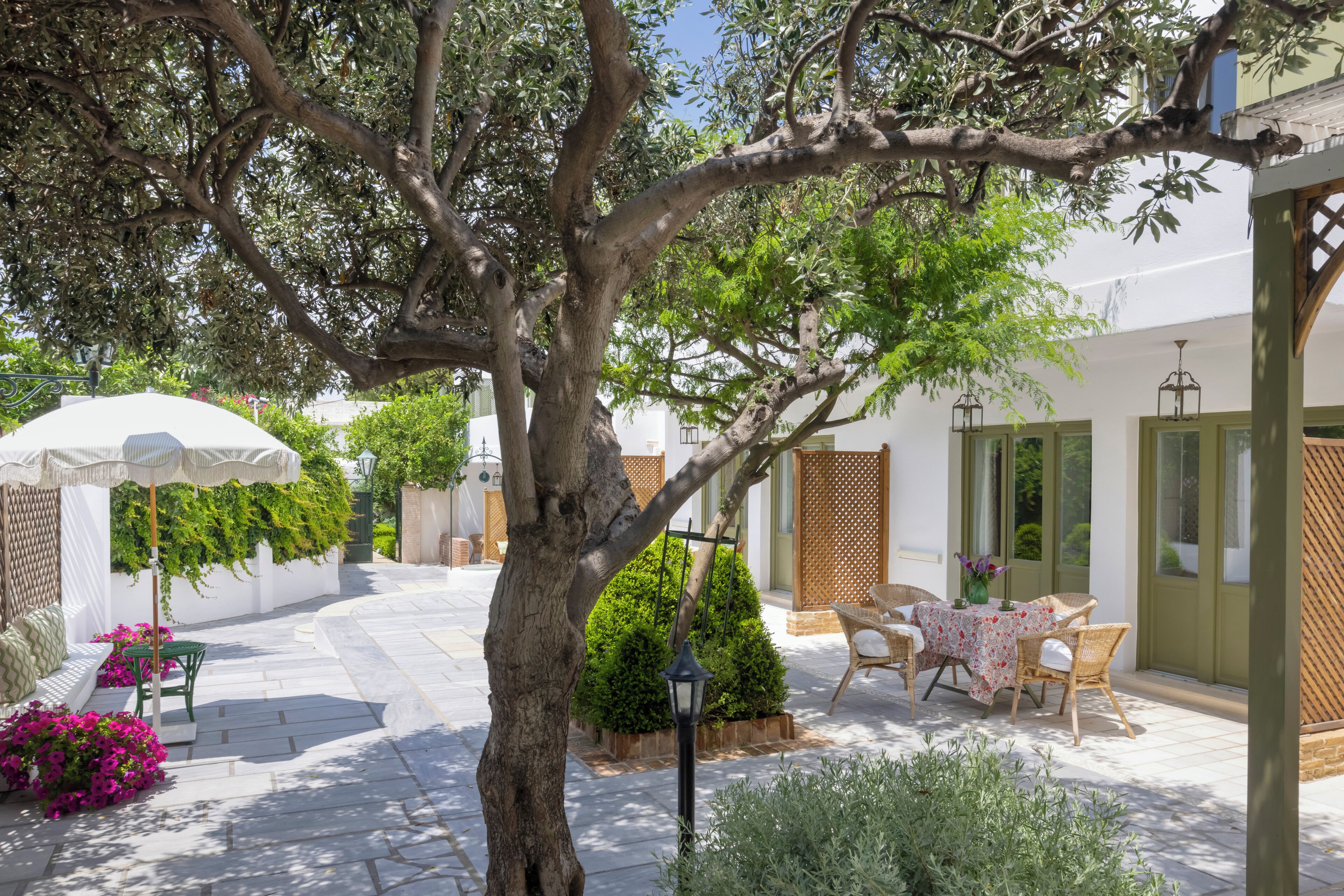A courtyard with a table and chairs, a white umbrella, and a tree.