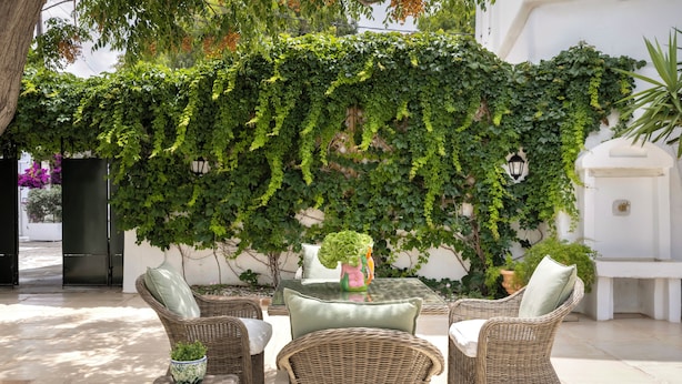A patio area with wicker furniture, a table with a vase, and a wall covered in green vines. - Kouneni Apartments (Mykonos)
