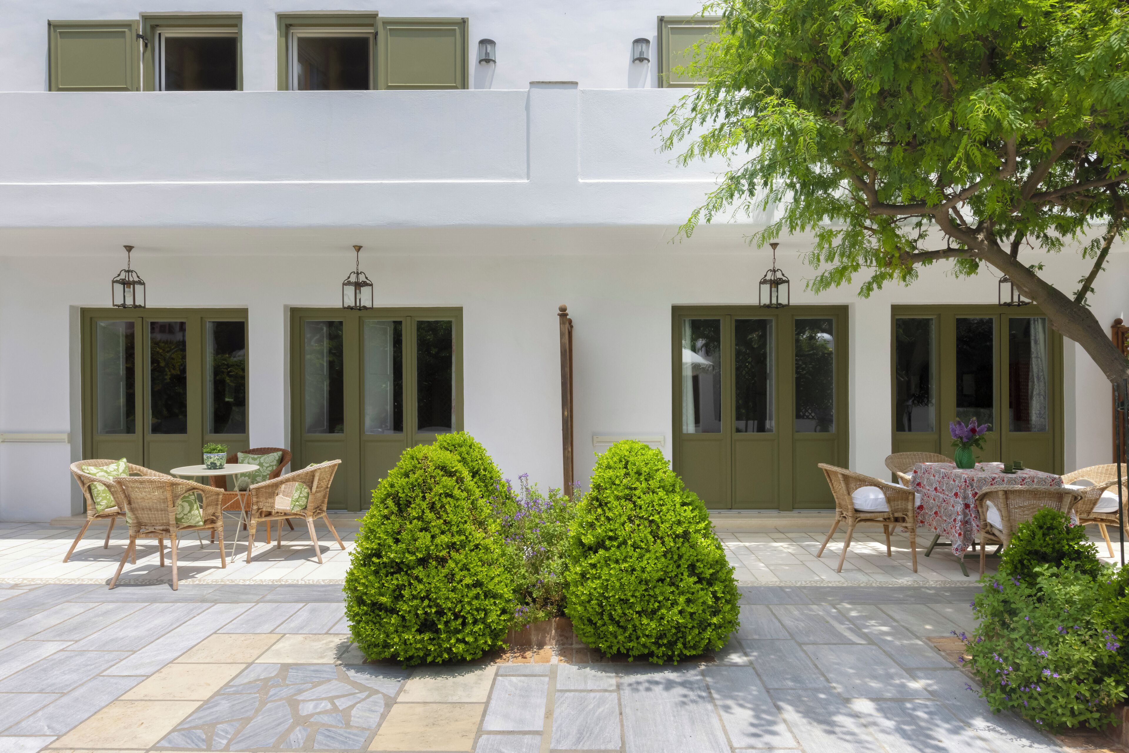 A courtyard with a dining area, two potted plants, and a tree.