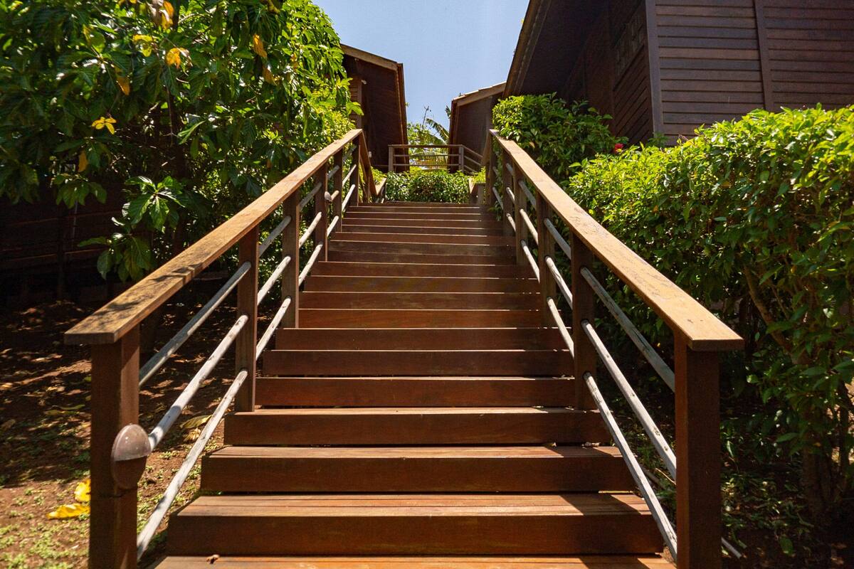 A wooden staircase with metal railings, surrounded by greenery.