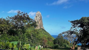 Una piscina al aire libre, tumbonas