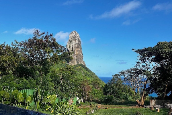 Piscine extérieure, chaises longues