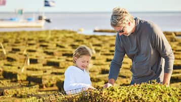 A person and a child in a field with crops, near a body of water.