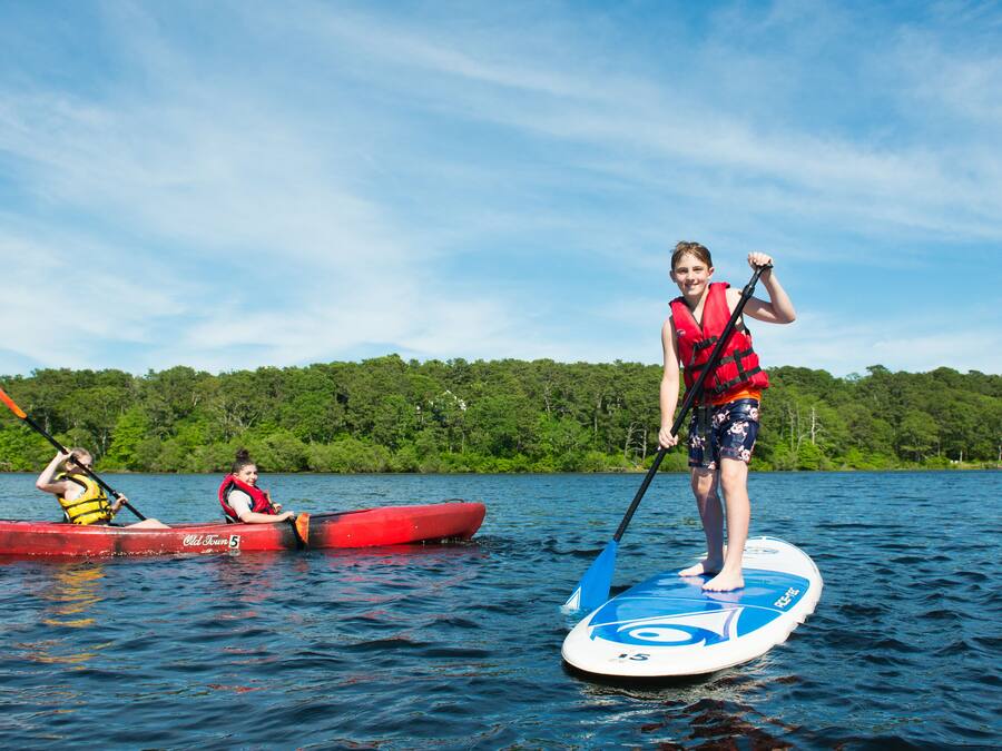 A person standing on a paddleboard in a lake with a forest in the background.