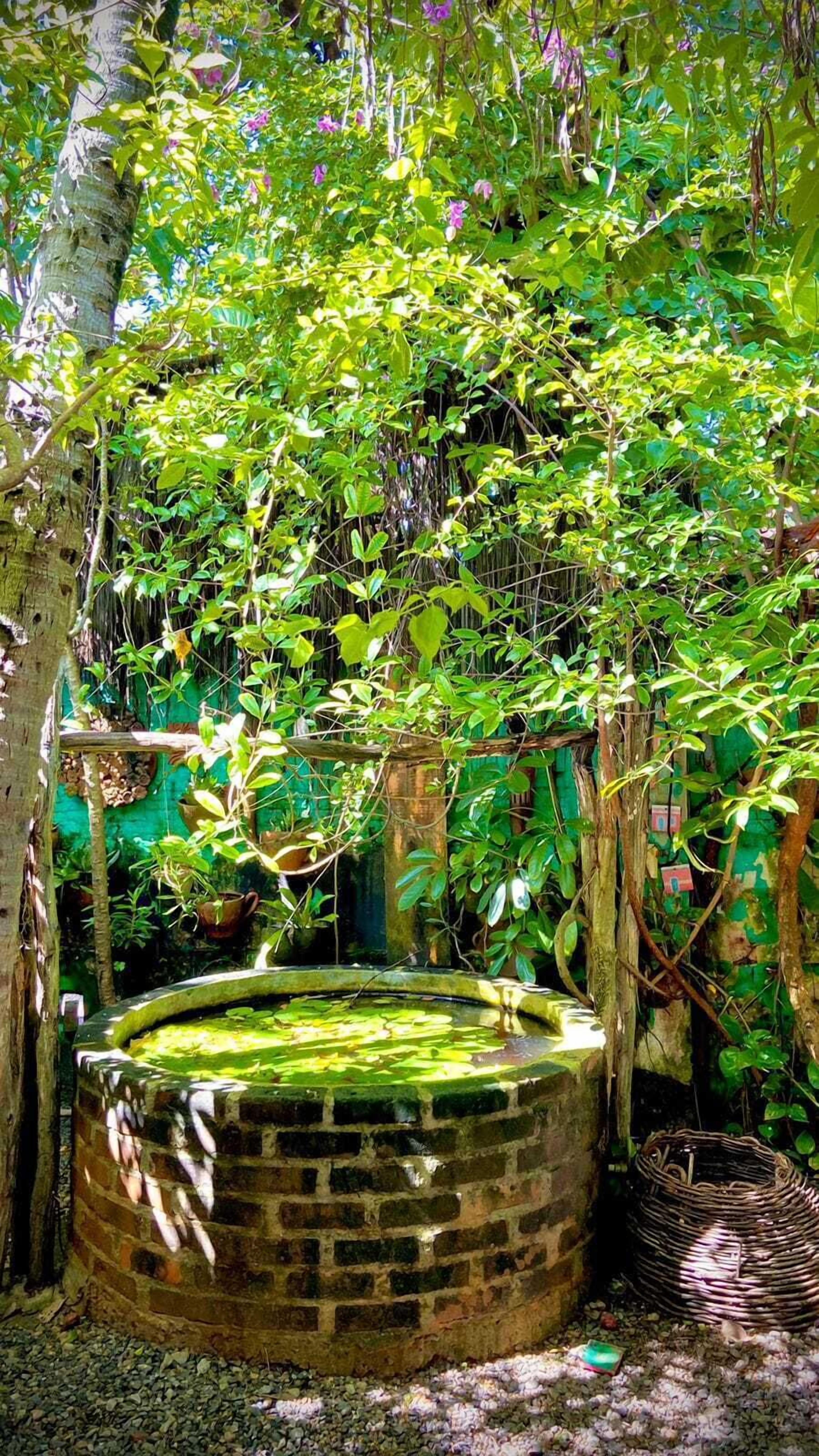 A rustic stone well surrounded by lush greenery and vines.