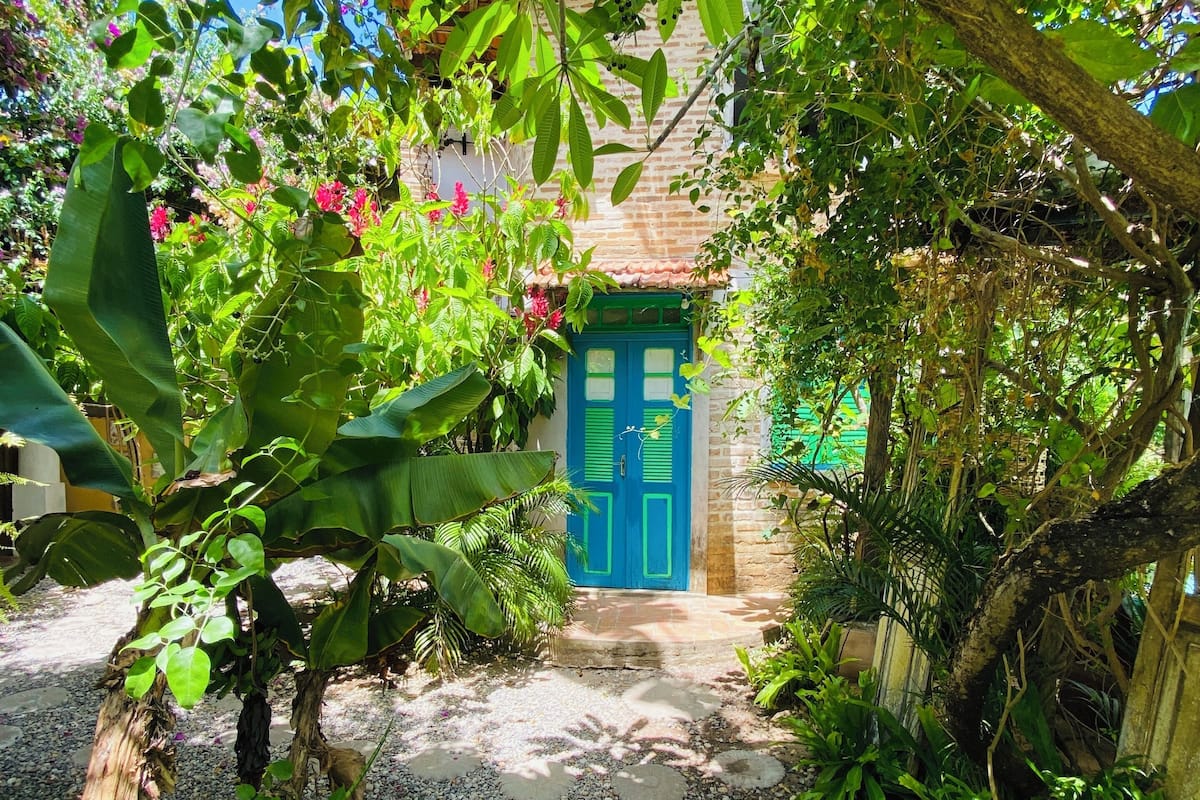 Um caminho no jardim leva a uma porta azul, cercada por vegetação exuberante e plantas floridas.