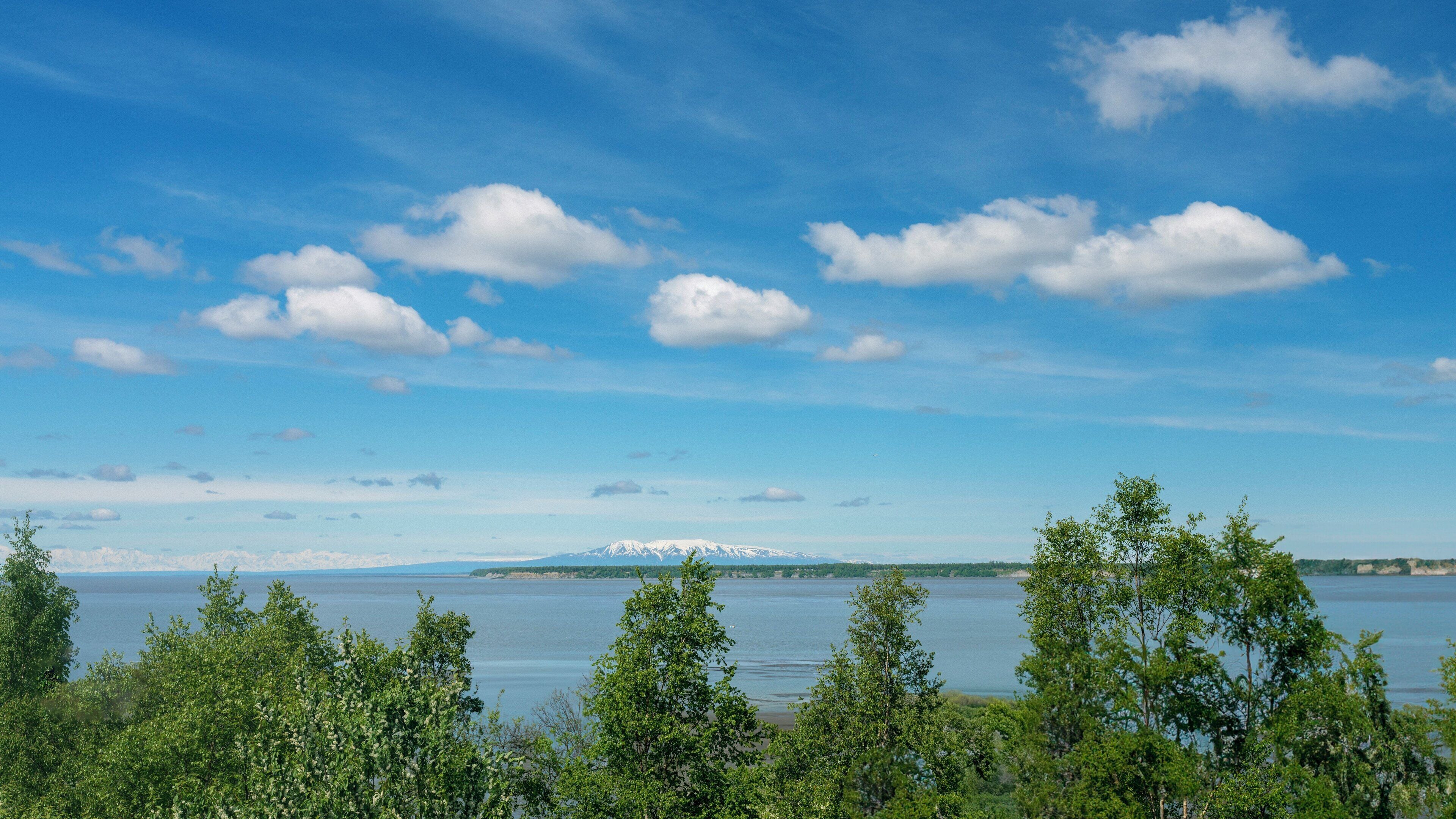 A lake with a mountain range in the distance, surrounded by trees.