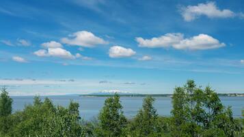 A lake with a mountain range in the distance, surrounded by trees.