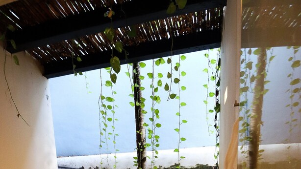 Una terraza de madera con una pequeña mesa y sillas, rodeada de plantas y vista al mar.