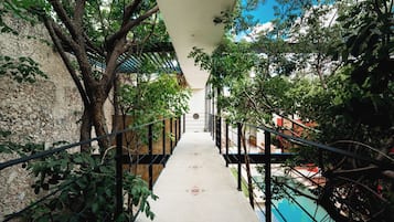 A corridor with a pool on one side, surrounded by trees and a stone wall.