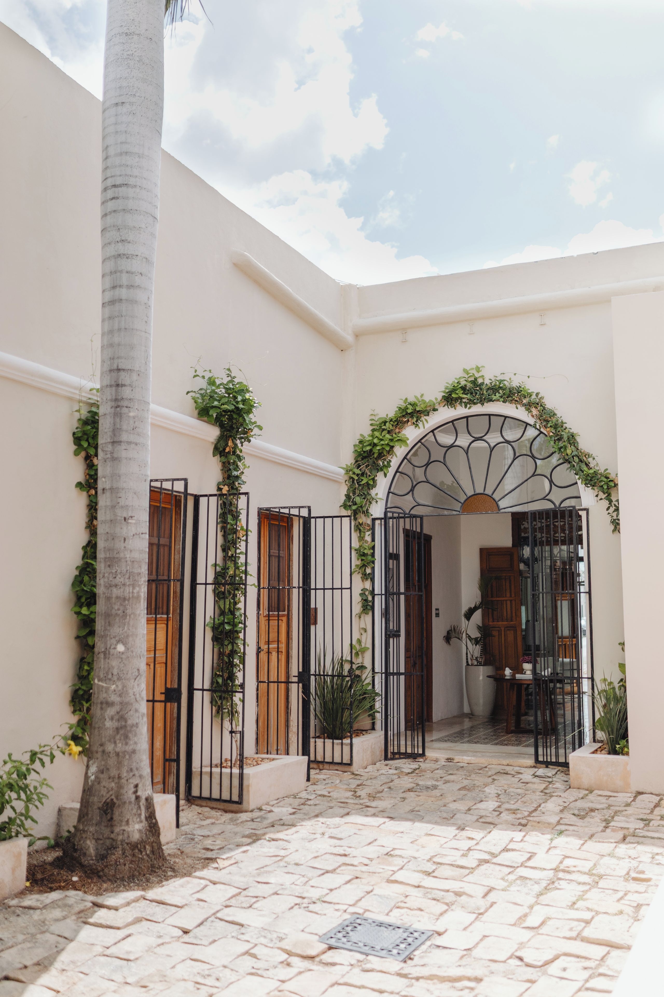 Un patio con una palmera, un camino de piedra y una puerta con arco decorativo.