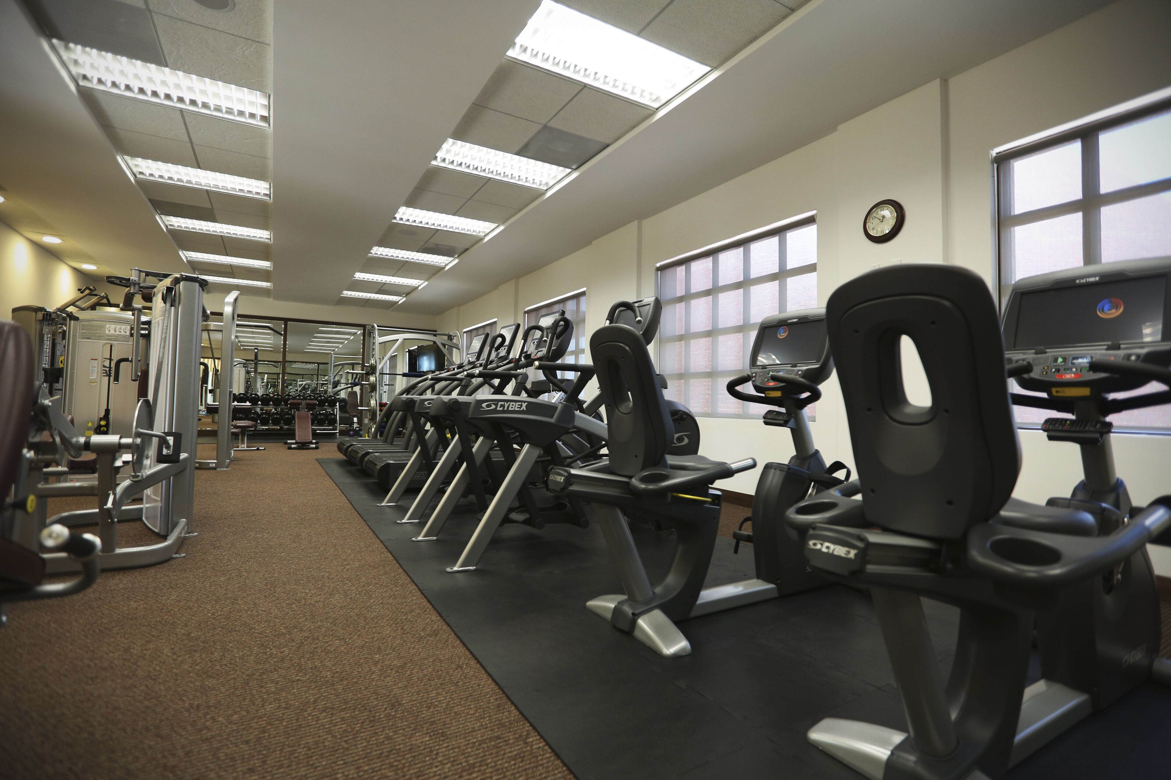 A gym with multiple treadmills, weight machines, and a carpeted floor.