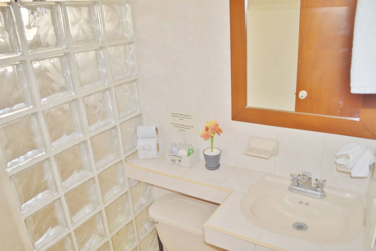 Un baño con separador de vidrio, un lavamanos, un espejo y una pequeña planta en maceta.