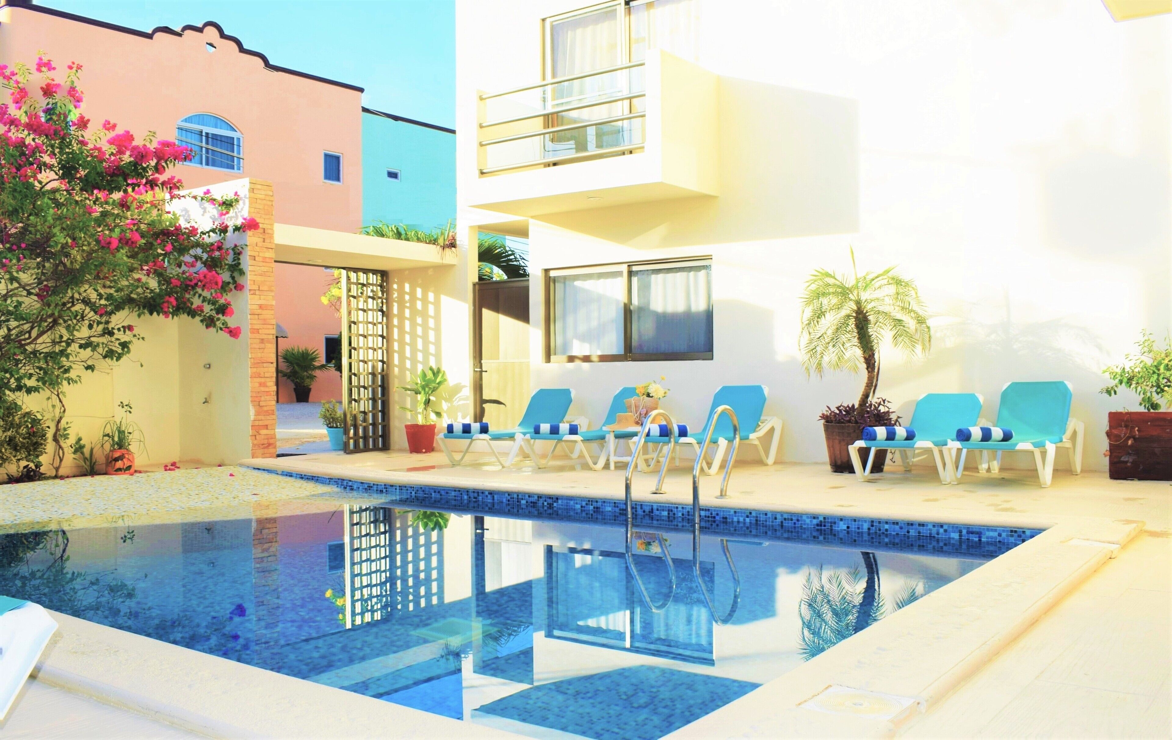 Outdoor pool, sun loungers