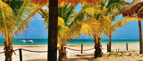 Vue sur la plage/lâocĂ©an