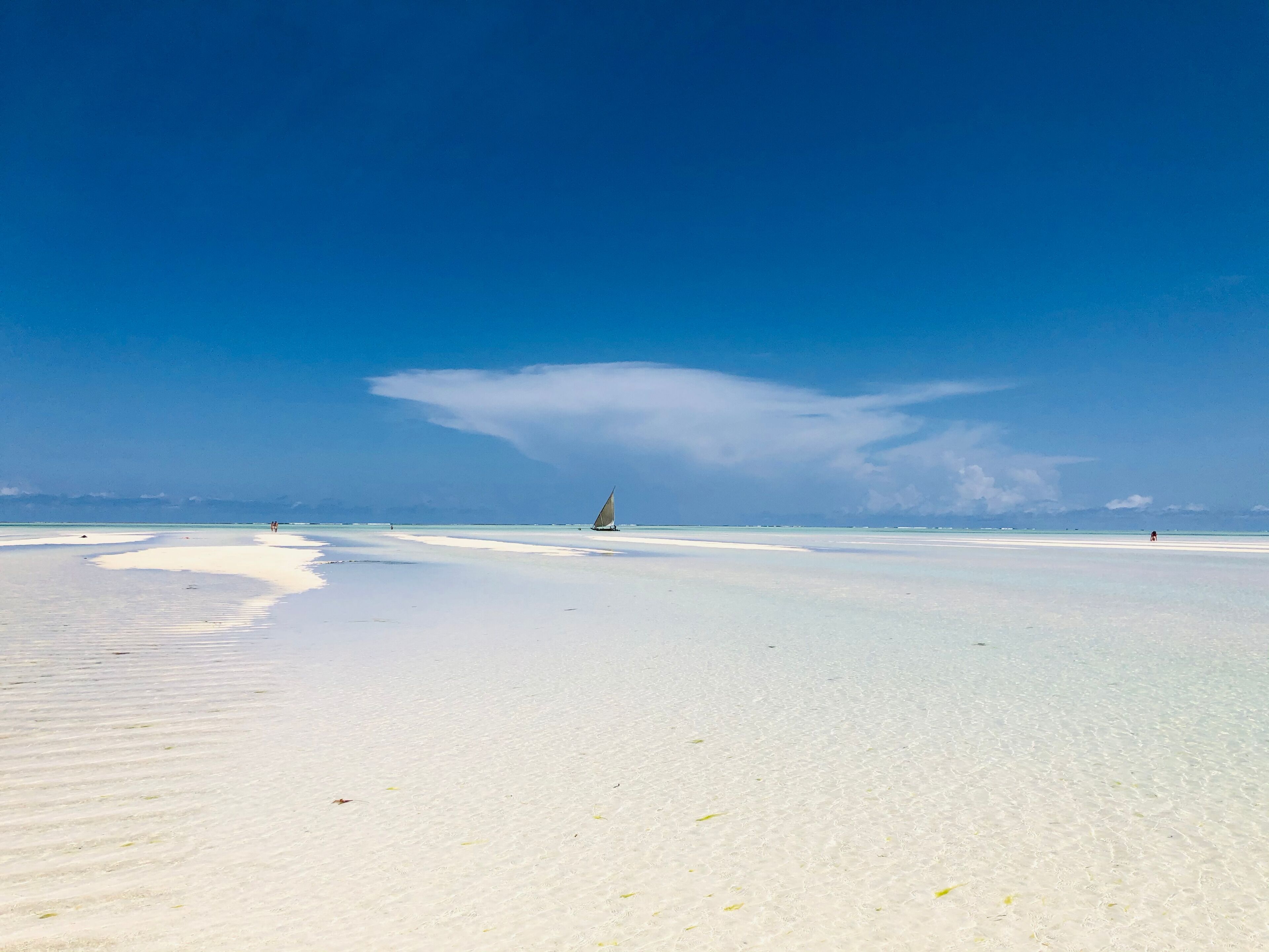 A beach with clear skies and a sailboat in the distance.