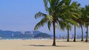 Una playa con palmeras y un horizonte con edificios.